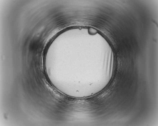 X0000102010982200808151248