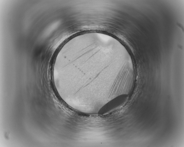 X0000102010983200808151248