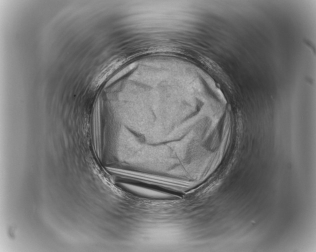 X0000102010985200808151247