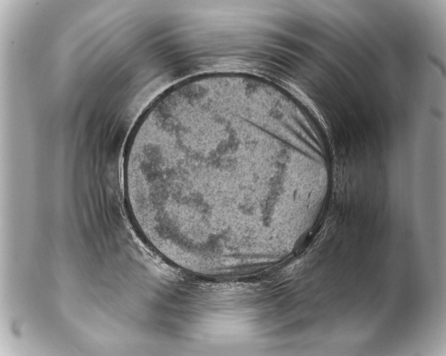 X0000102010988200808151247