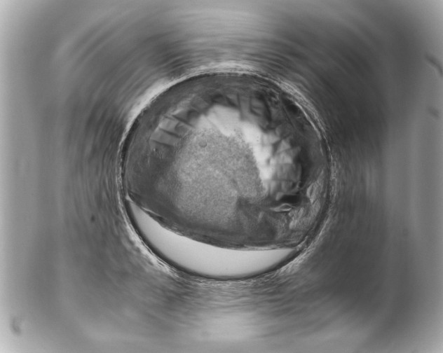 X0000102010989200808151247