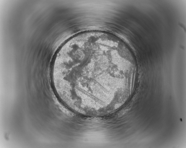 X0000102010991200808151247