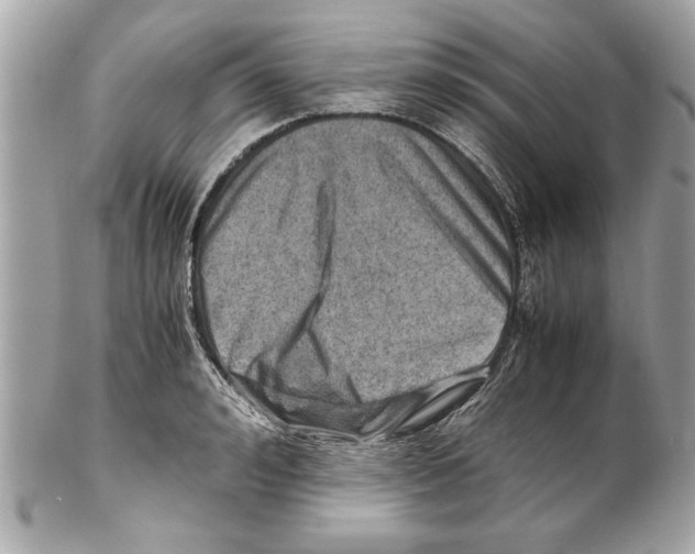 X0000102010992200808151247