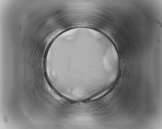 X0000102010995200808151247