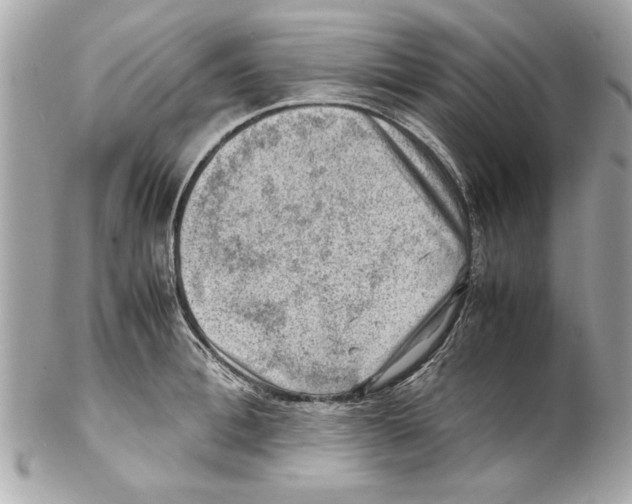 X0000102010996200808151247