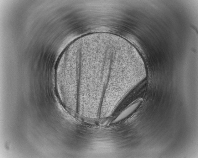 X0000102011000200808151247