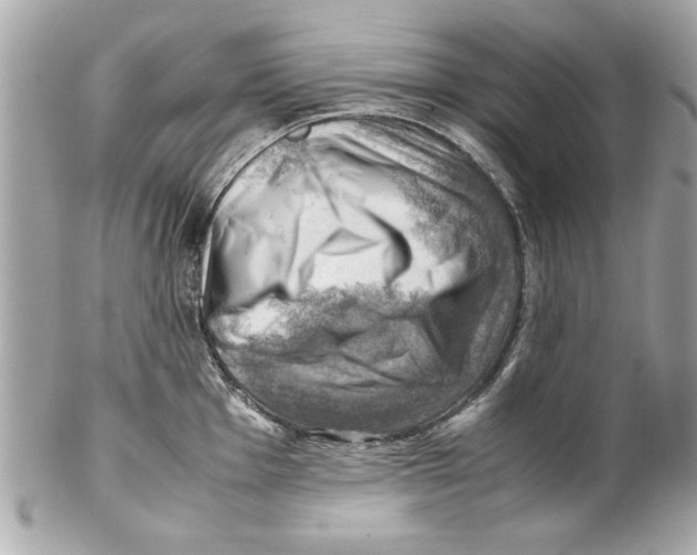 X0000102011001200808151247