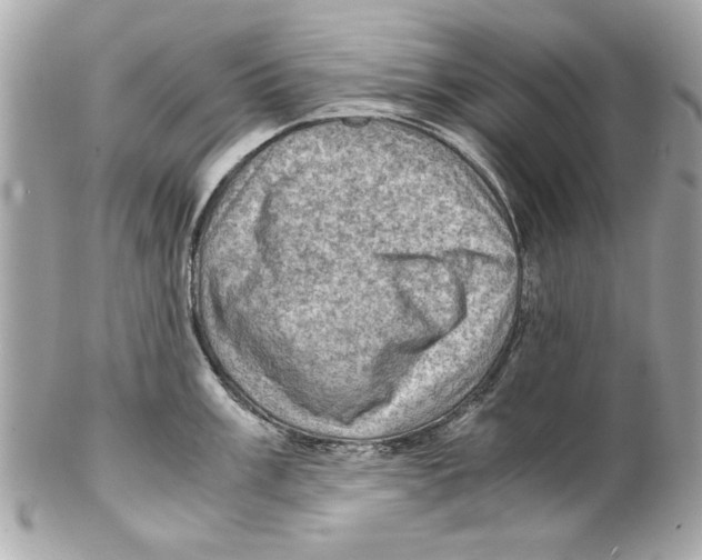 X0000102011003200808151247