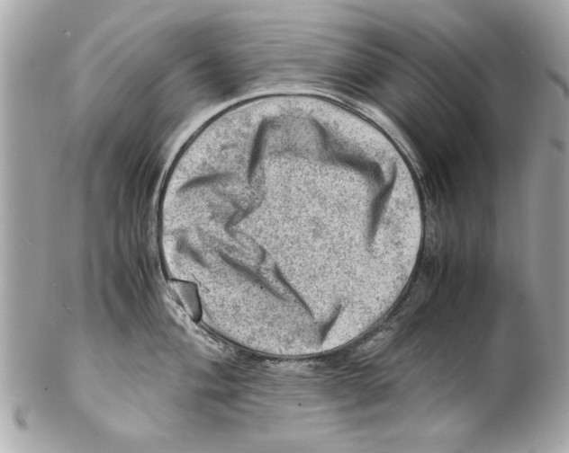 X0000102011004200808151247