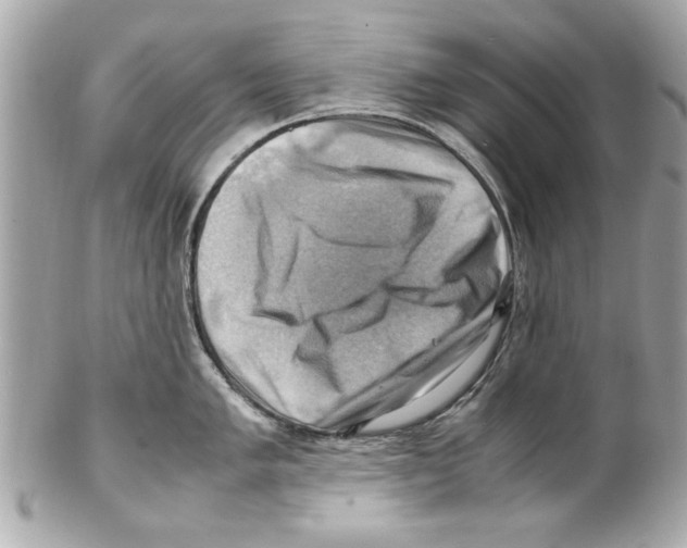 X0000102011005200808151247