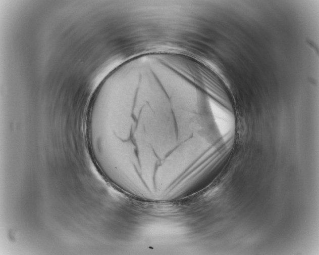 X0000102011007200808151247