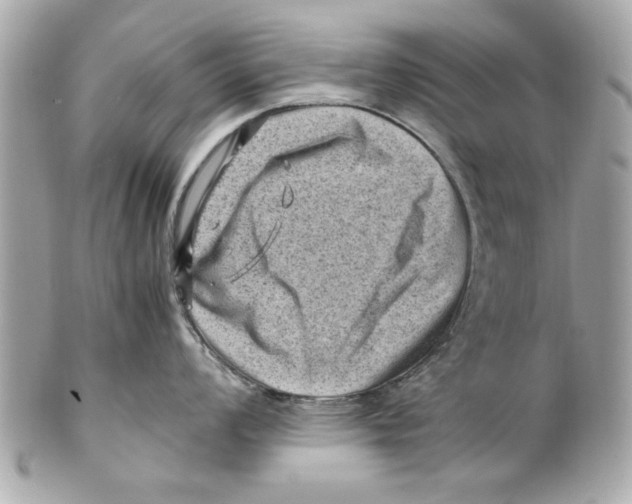 X0000102011008200808151247