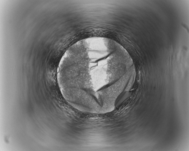 X0000102011010200808151246