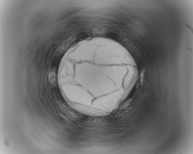 X0000102011011200808151247