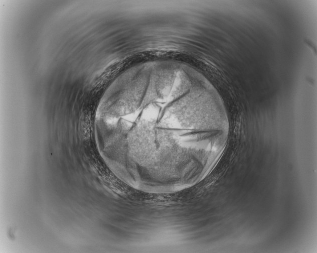 X0000102011014200808151247