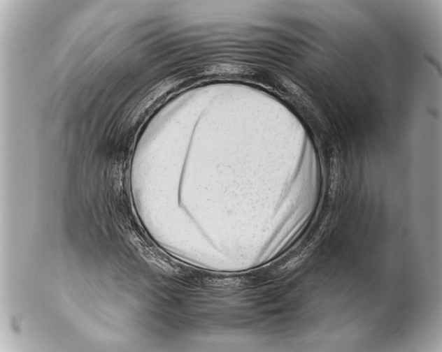 X0000102011017200808151247