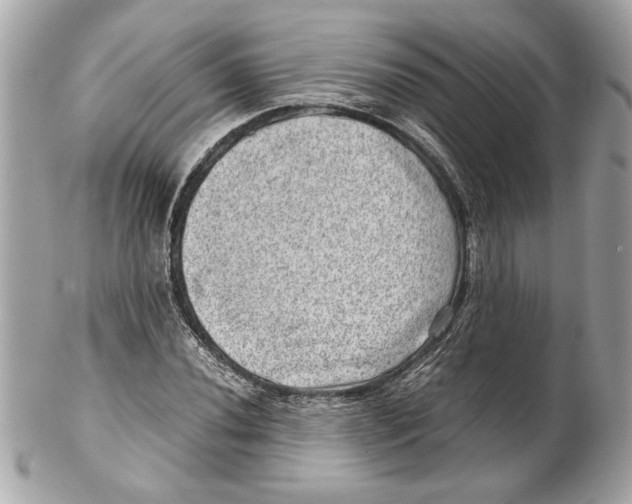 X0000102011020200808151247