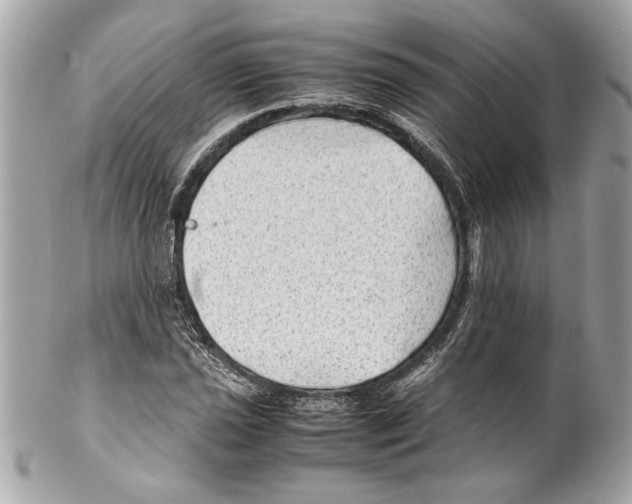 X0000102011021200808151247