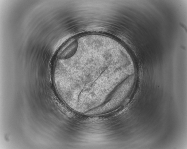 X0000102011022200808151247