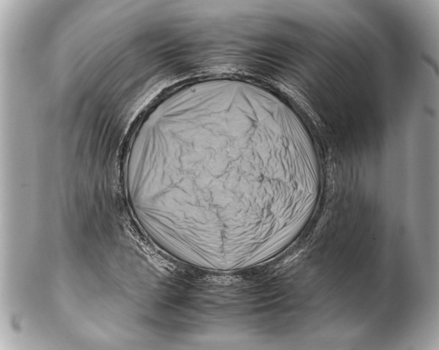 X0000102011023200808151247