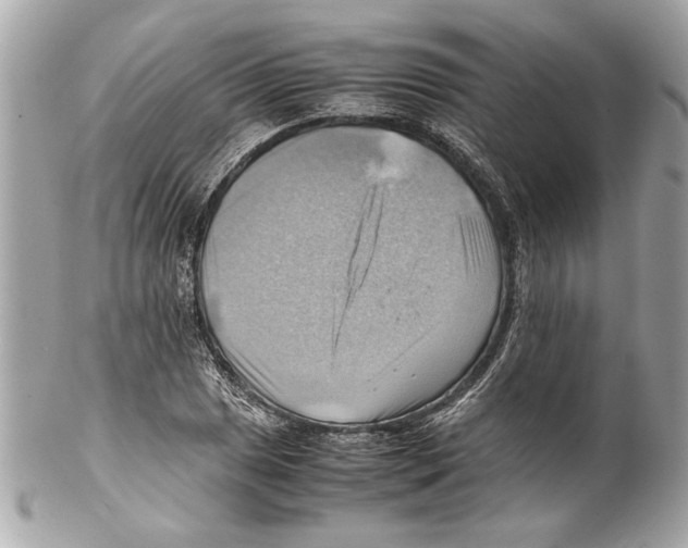 X0000102011025200808151247