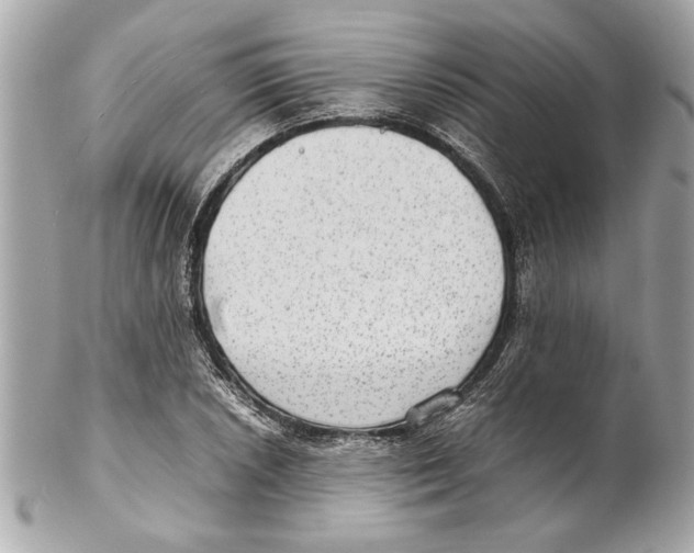 X0000102011026200808151247