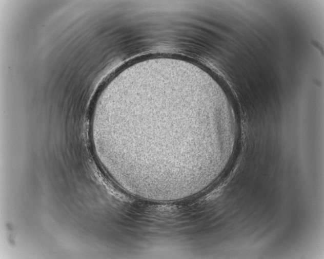 X0000102011029200808151247