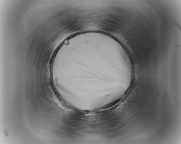 X0000102011031200808151247