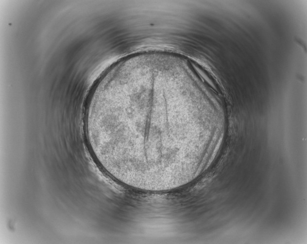 X0000102011038200808151247