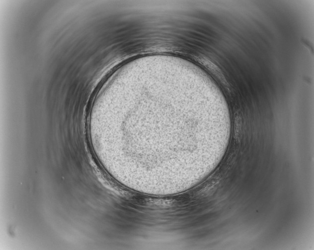 X0000102011039200808151247