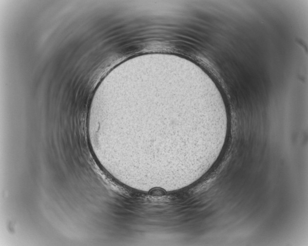 X0000102011041200808151247