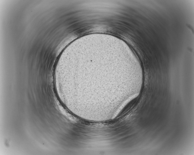 X0000102011042200808151247