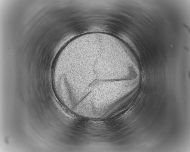 X0000102011043200808151247