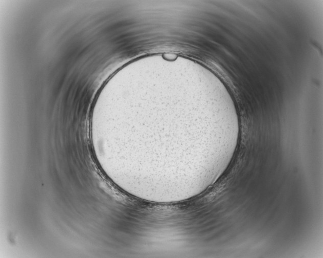 X0000102011044200808151247