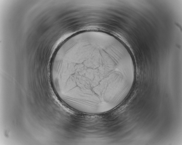 X0000102011045200808151247