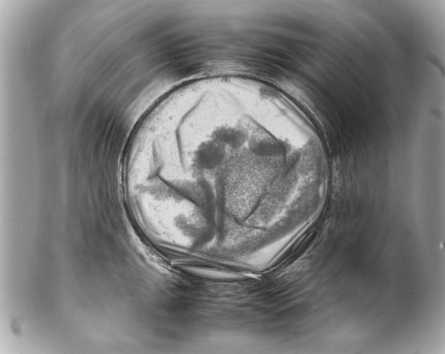 X0000102011047200808151247