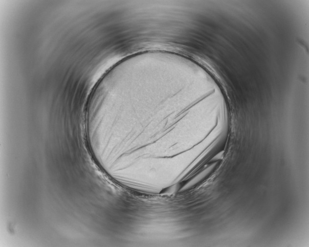 X0000102011048200808151247