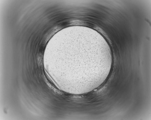 X0000102011049200808151247