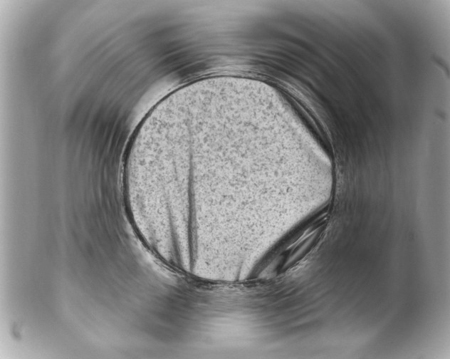 X0000102011050200808151247