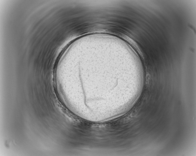 X0000102011051200808151247