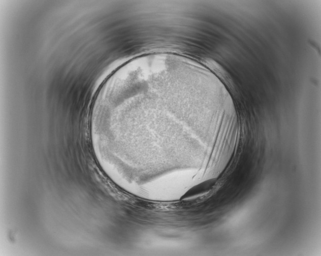 X0000102011052200808151247