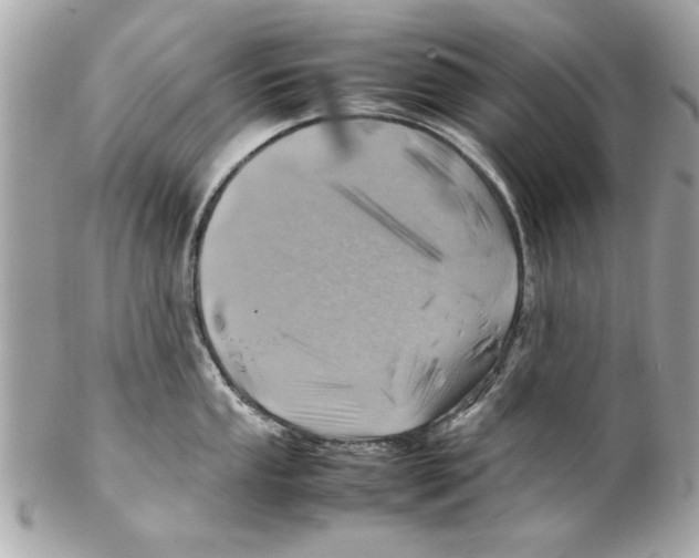 X0000102011053200808151247