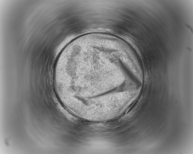 X0000102011054200808151247