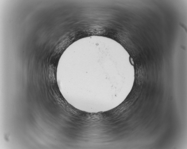 X0000102011058200808151246