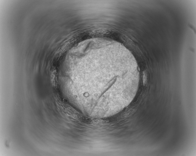 X0000102011059200808151246