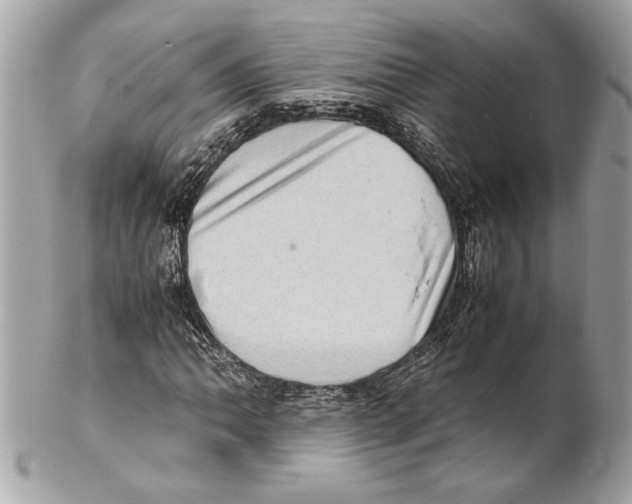 X0000102011062200808151246