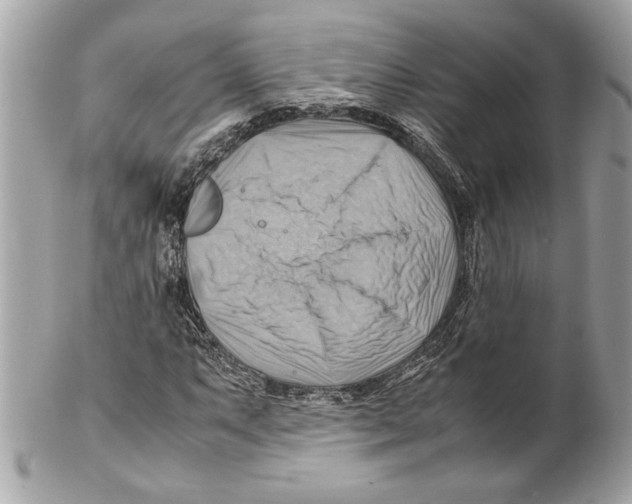 X0000102011063200808151246