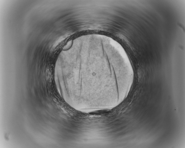 X0000102011064200808151246