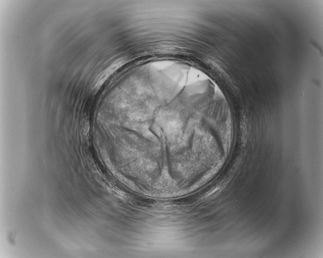 X0000102011065200808151246