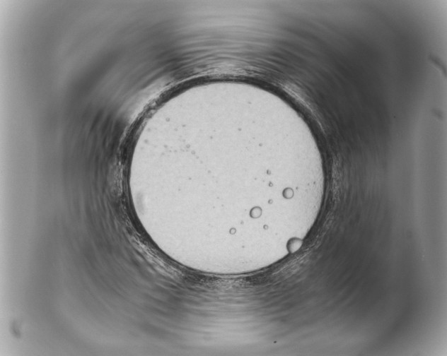 X0000102011067200808151246